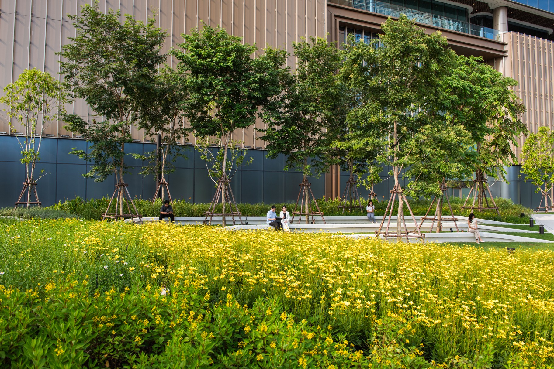 One Bangkok: a Sustainable City to Reduce PM 2.5 Dust